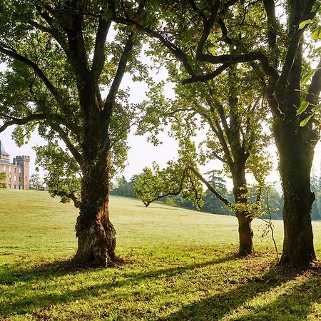 Chateau De Sibra Lagarde  エクステリア 写真