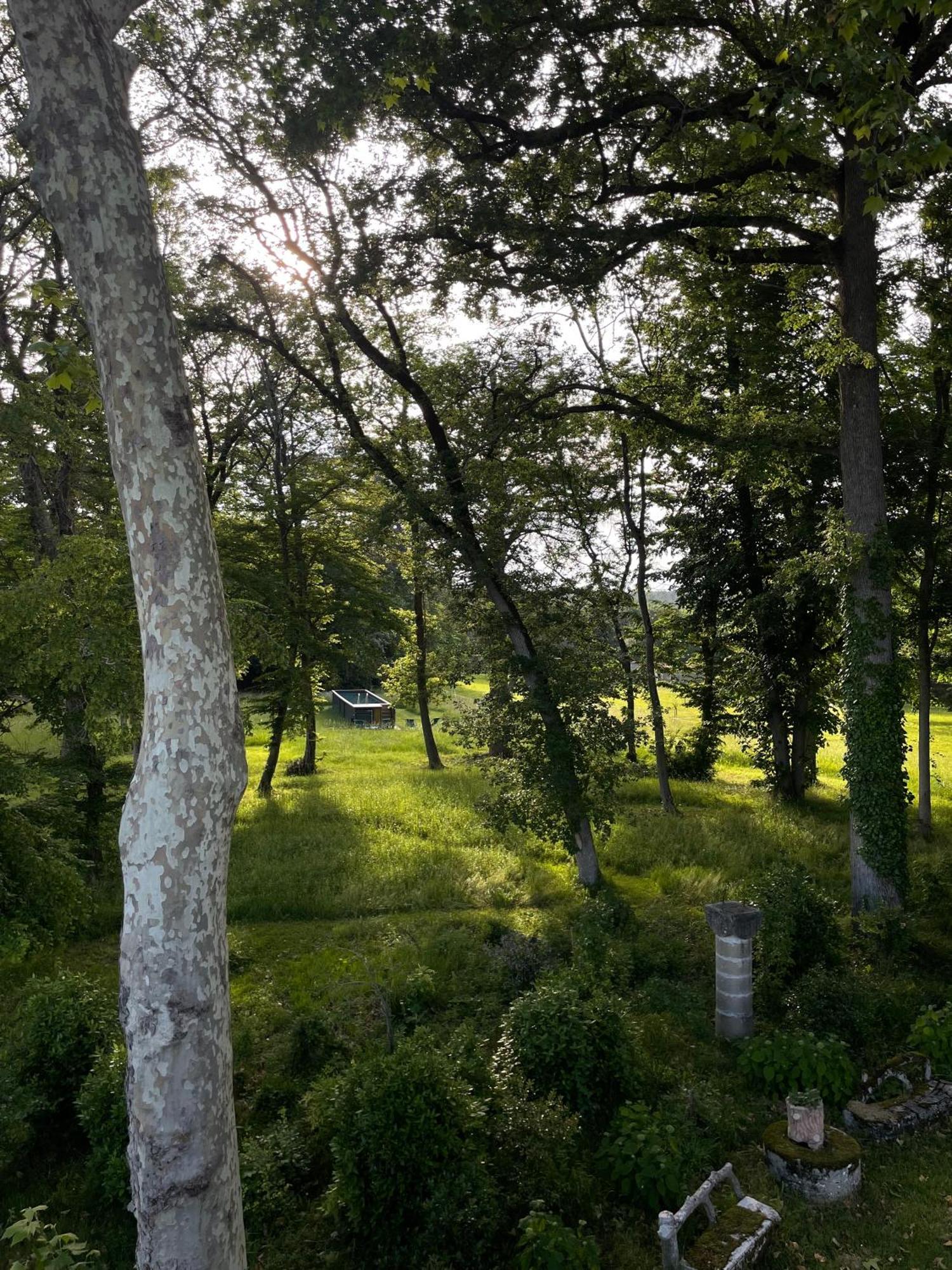 Chateau De Sibra Lagarde  エクステリア 写真