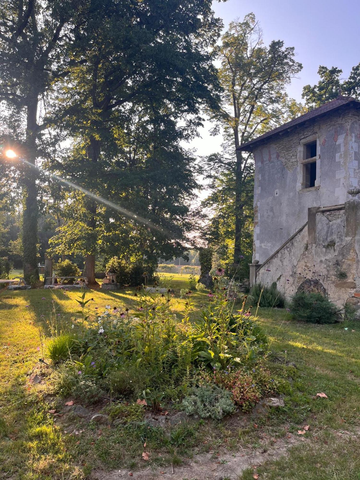 Chateau De Sibra Lagarde  エクステリア 写真