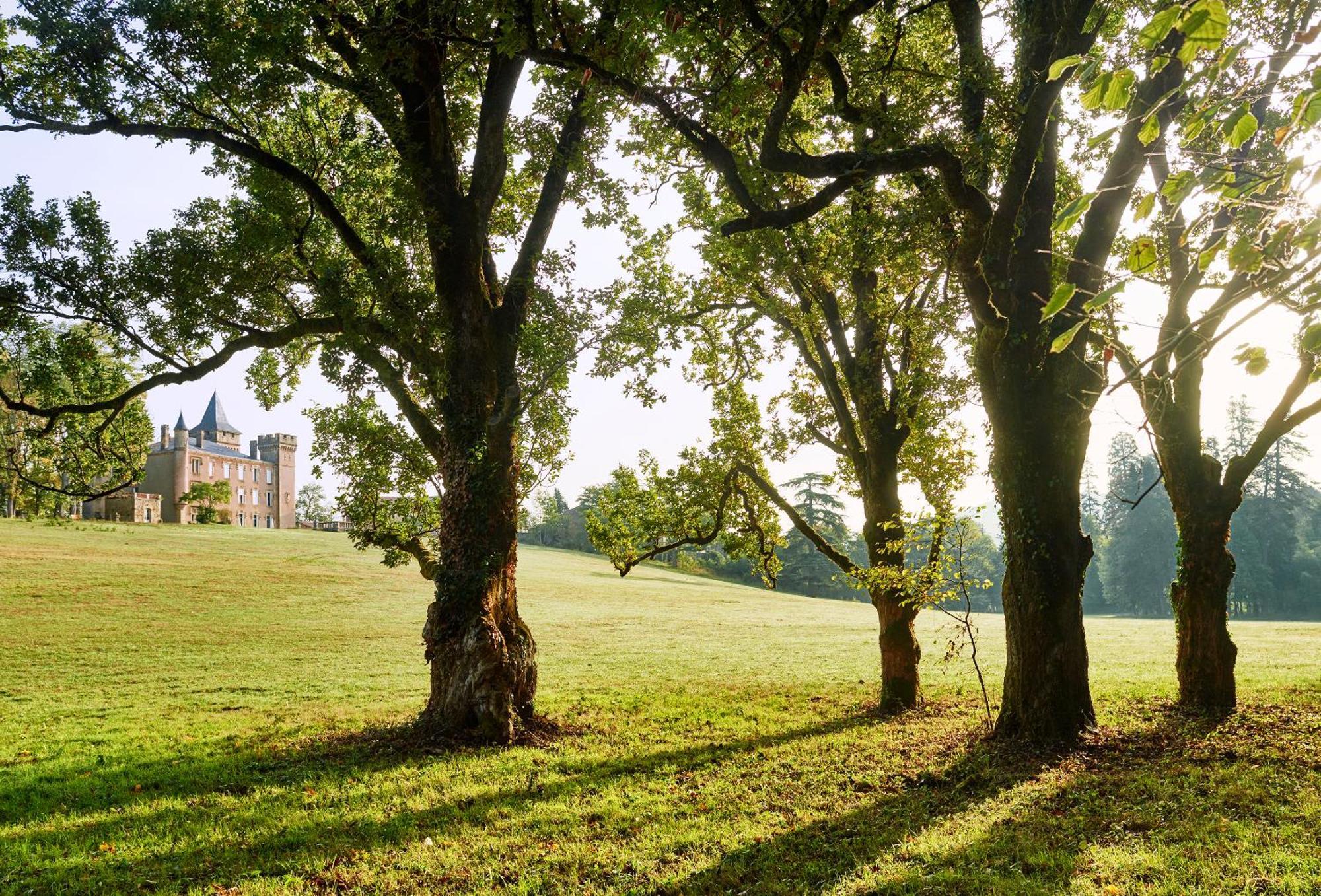Chateau De Sibra Lagarde  エクステリア 写真